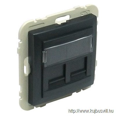 LOGUS 90442 SIS  Dupla RJ45 fedlap