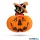 Halloween-i tökös lampion macskával 26cm, akasztható - 58137A