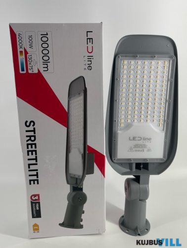 Ledin LED Utcai világító 100W 4000K IP65 10000lm - 201071