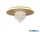 ALADDIN 21126-32GO Deluge LED Flush, Gold Metal with Crystal Glass