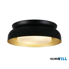   ALADDIN 23122BGO Kendal 2Lt Flush, Black & Gold Metal with Frosted Diffuser