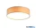 ALADDIN 23298-2CP Drum 2Lt  Flush, Champagne Velvet Shade