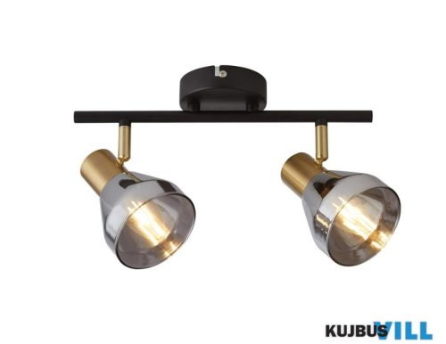 ALADDIN 23801-2SM Westminster 2Lt Spotlight - Black,Satin Brass > Smoked Glass