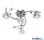 ALADDIN 2634-4CC Sierra 4Lt Semi-Flush - Chrome & Clear Glass