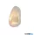 ALADDIN 32983PB Destiny LED Wall Light, Brass Metal with Glass