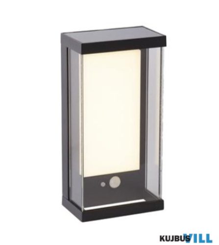 ALADDIN 67419BK Solar Wall Light - Black Metal > Frost PC