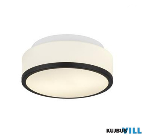 ALADDIN 7039-23BK Cheese 2Lt Flush - Black, White Glass Shade, IP44