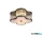 ALADDIN 77210-2AB Lotus 2Lt Flush, Antique Brass Metal and Glass Diffuser