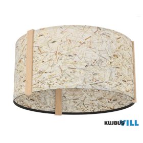 EGLO 390322 Mennyezeti E27 25W fk/fa bézsHontongas