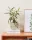 EGLO 421234 Üveg váza Ø15x16cm zöld Siranana