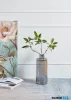 EGLO 421383 Üveg váza 15X15X40cm Nabas