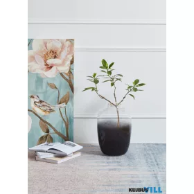EGLO 421392 Üveg váza 24,5X24,5X35,5cm Culasi