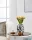 EGLO 421688 Üveg váza 20cm króm Xiporai