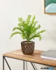 EGLO 421786 Kaspó Ø15x13cm fekete/zöld Shipo