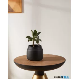 EGLO 428144 Virágcserép Ø16cm fekete Parkent