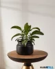 EGLO 428145 Virágcserép Ø21cm fekete Parkent