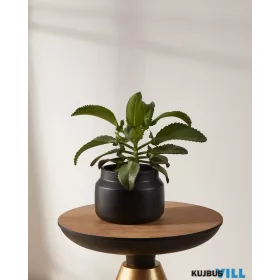 EGLO 428145 Virágcserép Ø21cm fekete Parkent