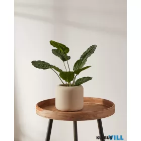 EGLO 428146 Virágcserép Ø17cm Parkent