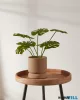 EGLO 428148 Virágcserép Ø16cm Parkent