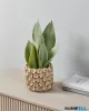 EGLO 428459 Kaspó Ø18x15,5cm bézs Shigay