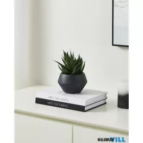 EGLO 428491 Szukkulens cserépben 17,5cm Yulara
