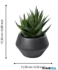EGLO 428491 Szukkulens cserépben 17,5cm Yulara