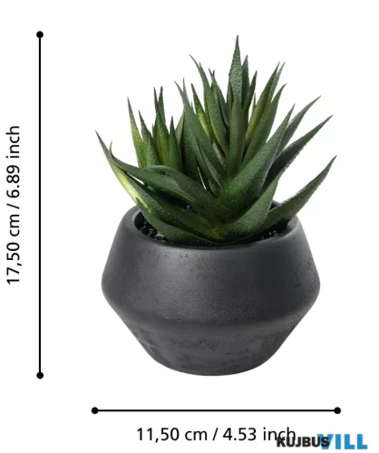EGLO 428491 Szukkulens cserépben 17,5cm Yulara