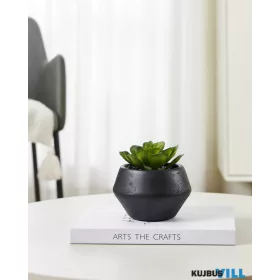 EGLO 428492 Szukkulens cserépben 11cm Yulara