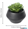 EGLO 428492 Szukkulens cserépben 11cm Yulara