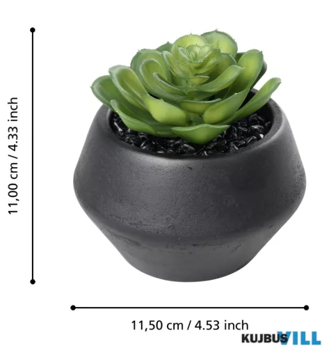 EGLO 428492 Szukkulens cserépben 11cm Yulara