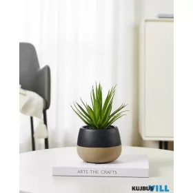 EGLO 428493 Szukkulens cserépben 20cm Yulara