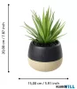 EGLO 428493 Szukkulens cserépben 20cm Yulara
