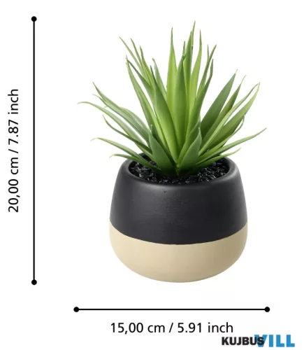 EGLO 428493 Szukkulens cserépben 20cm Yulara