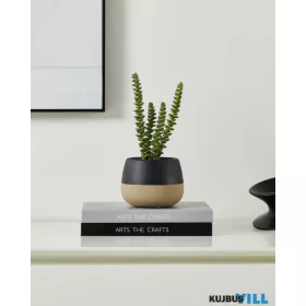 EGLO 428494 Szukkulens cserépben 20cm Yulara
