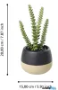 EGLO 428494 Szukkulens cserépben 20cm Yulara