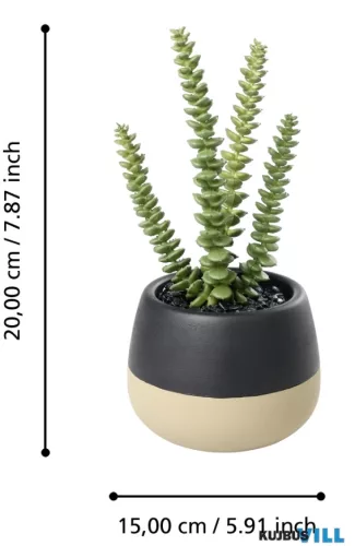 EGLO 428494 Szukkulens cserépben 20cm Yulara