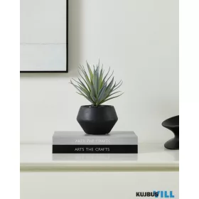 EGLO 428496 Agávé cserépben 20cm Yulara