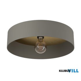 EGLO 901745 Mennyezeti E27 1x40W 42cm szürke Duaia
