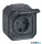 LEGRAND 069783L Plexo 55 falon kívüli 2P+F csatlakozóaljzat csapófedéllel, összeszerelt, csavaros vezetékbekötéssel, antracit