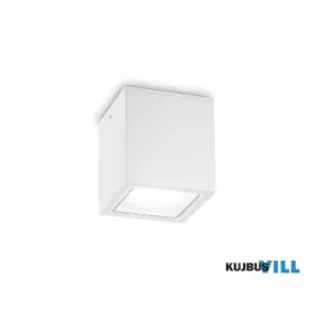 LUX 251561 TECHO Mennyezeti lámpa