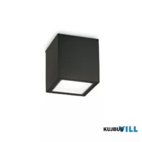 LUX 251578 TECHO Mennyezeti lámpa