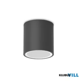 LUX 318141 TECHO Mennyezeti lámpa