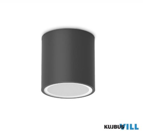 LUX 318141 TECHO Mennyezeti lámpa