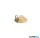 LUX 323602 ZEUS REFLECTOR ROUND Spot keret