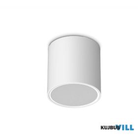 LUX 342689 TECHO Kültéri mennyezeti lámpa