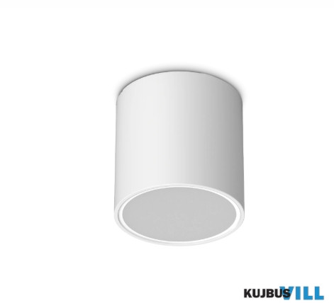 LUX 342689 TECHO Kültéri mennyezeti lámpa