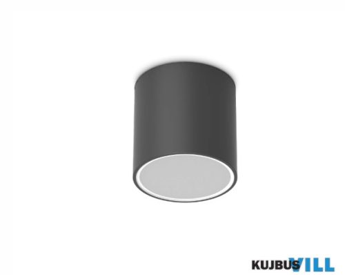 LUX 342719 TECHO Kültéri mennyezeti lámpa