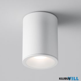 MAYTONI C029CL-01W Zoom  Spot lámpák