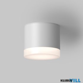 MAYTONI C087CL-GX53-W Pauline Mennyezeti lámpa