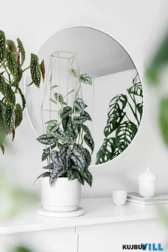 LUXERA 1330101 ESRA fali tükör Ø50cm fehér